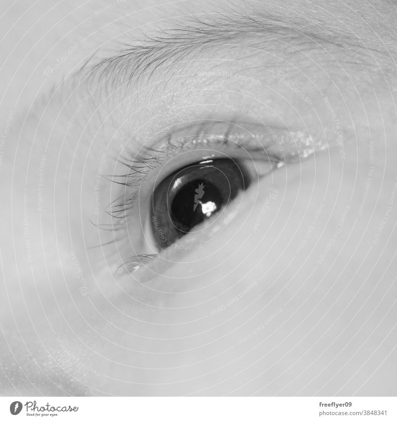 Detail des Auges eines Neugeborenen neugeboren Baby Detailaufnahme schwarz auf weiß Körperteil Gesichtsteil Kinder Entfernung jung Farben menschlich Nahaufnahme