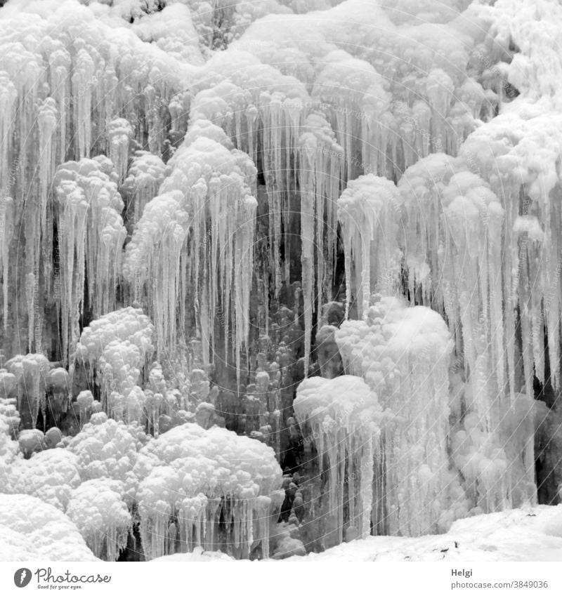 eiskalt erwischt - lange Eiszapfen am gefrorenen Radau-Wasserfall im Harz Frost Winter Radau Wasserfall Natur Umwelt Kälte Außenaufnahme Tag weiß Menschenleer