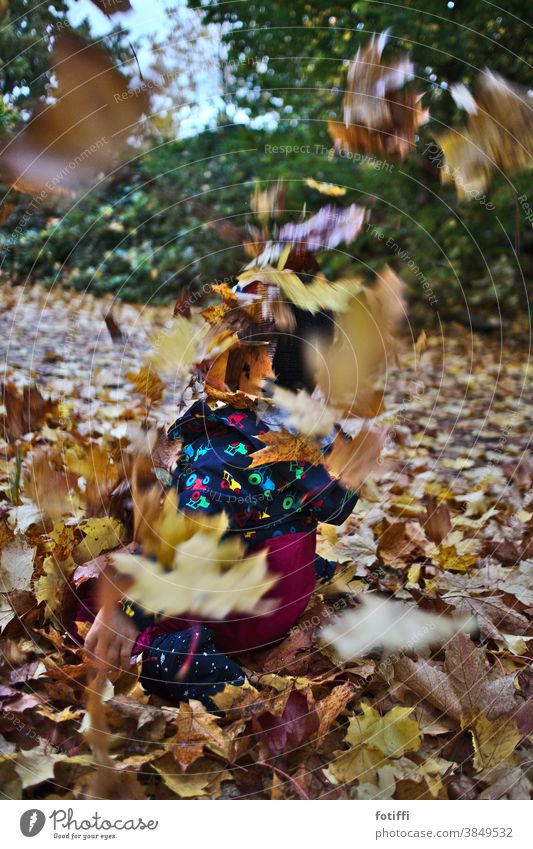 Kleinkind verschwindet in fliegendem Laub Laubfall Herbst herbstlich blätterflug Freude quietschvergnügt fallen Jahreszeiten Außenaufnahme Herbstlaub