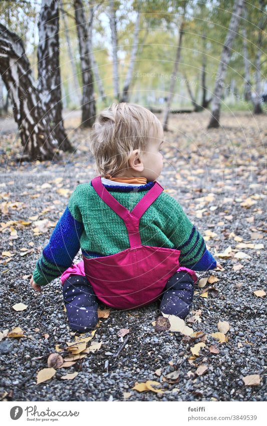Kleiner Knirbs sitzt im lichten Birkenwald Knirps Kind Kleinkind Herbst Wald draußen Außenaufnahme Natur Regenhose Wollpullover entdecken Freiheit unbedarft