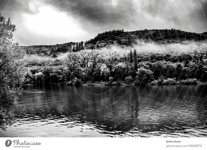 wolkenherz Jahreszeiten herbstlich Herbst Regen Hunsrück Rheinland-Pfalz Flussufer Mosel (Weinbaugebiet) Moseltal Ruhe Idylle Abenteuer Landschaft