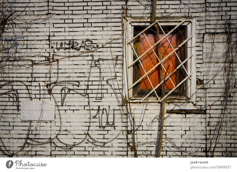 Kunst am Bau, Graffiti, Gitter & Co Fassade Architektur Fenster vergittert Tags imitation Klinkerfassade Schmiererei zeitgeist Wand verwittert blattlos