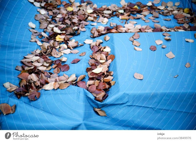 Herbstlaub auf abgedeckter Sitzgruppe Farbfoto Außenaufnahme nahaufnahme Laub Blätter Folie blau braun herbststimmung menschenleer Natur herbstlich Herbstbeginn