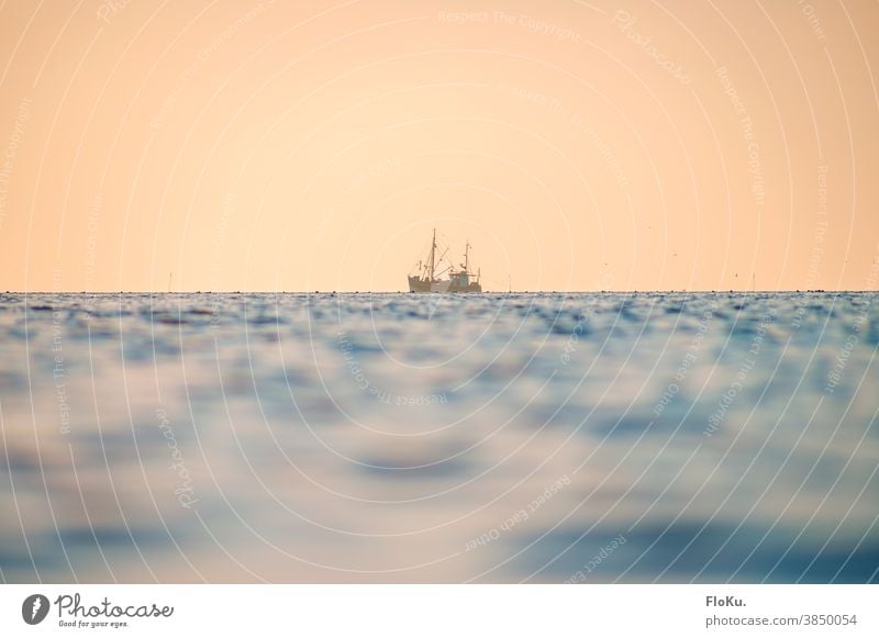 Fischkutter auf der Nordsee im Abendlicht Sonnenuntergang Sonnenlicht Bootsfahrt Fischen Fischerei Fischerboot Reflexion & Spiegelung Ferne Farbfoto blau Himmel