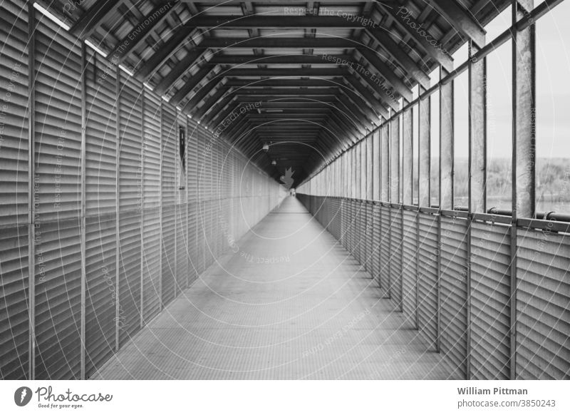 Brückentunnel Fluchtpunkt Perspektive Stollen leer Tunnelblick Einsamkeit Symmetrie Zentralperspektive Menschenleer Hintergrund urban Bauwerk Fußweg