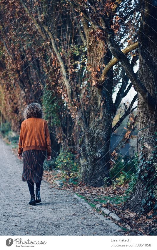 SPAZIERGANG IM HERBST Spaziergang Spaziergang in der Natur Herbst Außenaufnahme Tag Umwelt Farbfoto Bäume braun Frau alleine Einsamkeit stille modern Erholung