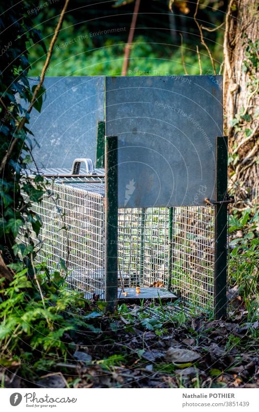 Schädlingsfalle in der Natur Tier Garten Außenaufnahme Falle fangen Käfig Köder Ratte vernichten Schaden Tiere Metall