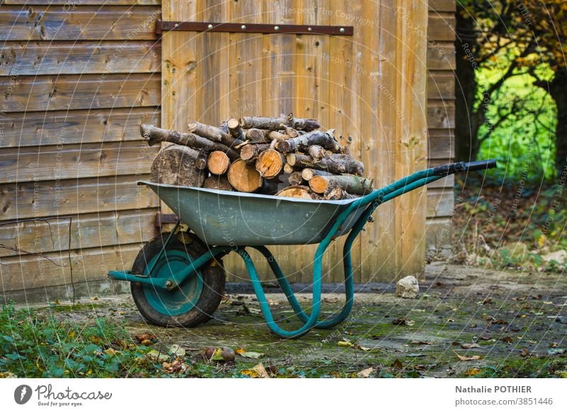 Schubkarre mit Brennholz gefüllt Holz Wald geschnitten stere Heizung zum Aufwärmen ökologisch Umwelt Baracke Garten Außenaufnahme Natur Herbst