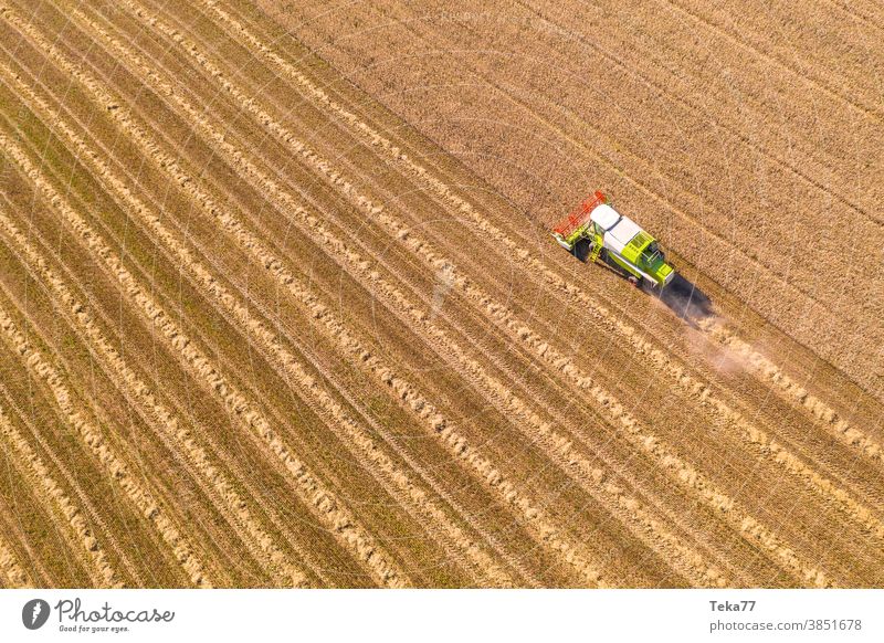 ein Mähdrescher mäht ein Weizenfeld von oben Weizen-Erntemaschine Sonne sonnig Mähdrescher von oben Lebensmittel essen reif rot grün weiß Staubwischen erwärmen