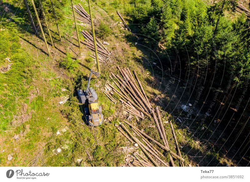 ein moderner Waldharvester, der von oben in den Wald hineinarbeitet moderne Erntemaschine gefällter Wald Borkenkäfer Klimawandel Baumruine Toter Wald Förster
