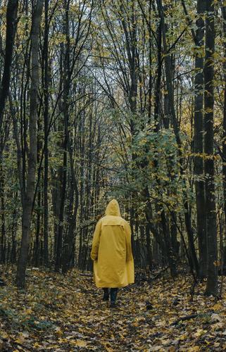 Ein Mann in einer gelben Jacke, der im Herbst im Wald spazieren geht. laufen Typ gelbe Jacke Bäume Stimmung dunkel Natur Regenjacke