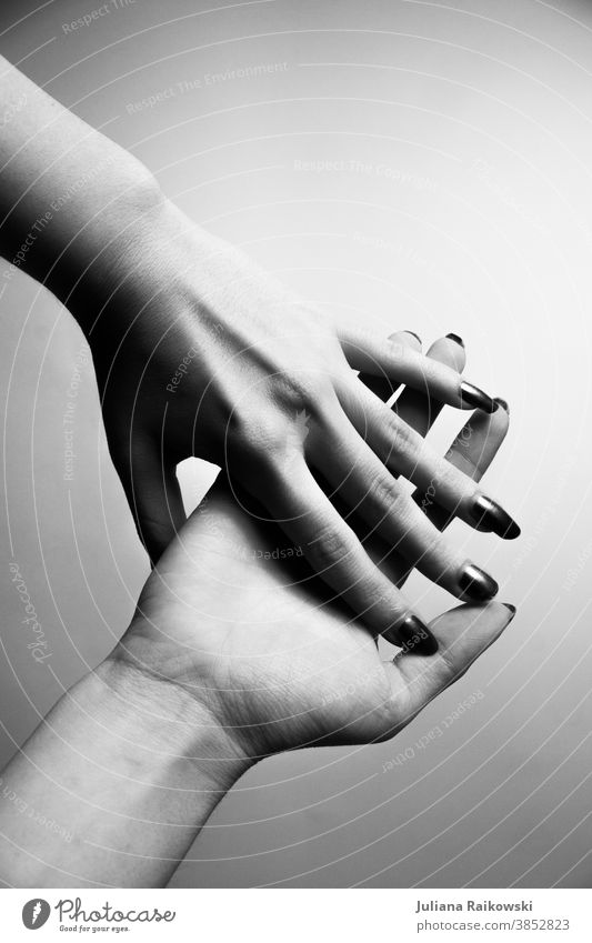 Hände in schwarz weiß Schwarzweißfoto Hand Frau Mensch Finger Schatten grau feminin Haut Jugendliche schön Licht Studioaufnahme helfende Hand Maniküre