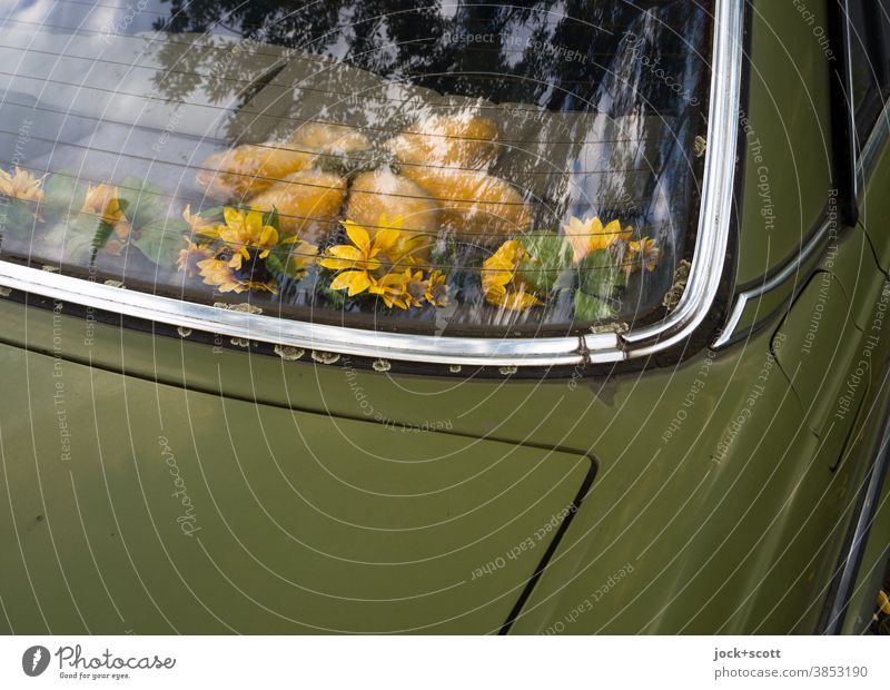 Autogesteck, Blumendeko für unterwegs Heckscheibe Reflexion & Spiegelung Detailaufnahme Chromleiste grün Kitsch PKW Karosserie Autofenster retro Oldtimer Stil