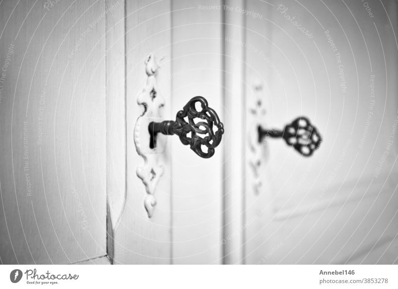 Alte Vintage-Türen mit antiken Skelettschlüsseln im Schloss, Retro-Hintergrundtextur schwarz-weiß Taste alt Antiquität altehrwürdig offen Metall verziert