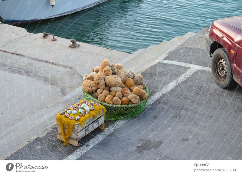 Souvenir-Stand in einem Kreta Hafen mit Produkte aus dem Meer Tourismus Tradition Schwamm Griechenland typisch reisen Reisefotografie Meeresschnecken
