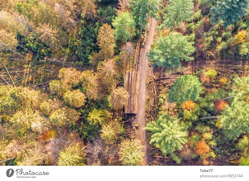 ein teilweise gefällter Mischwald von oben teilweise gefällter Wald gefällter Wald von oben Herbstwald Natur Klimawandel Borkenkäfer