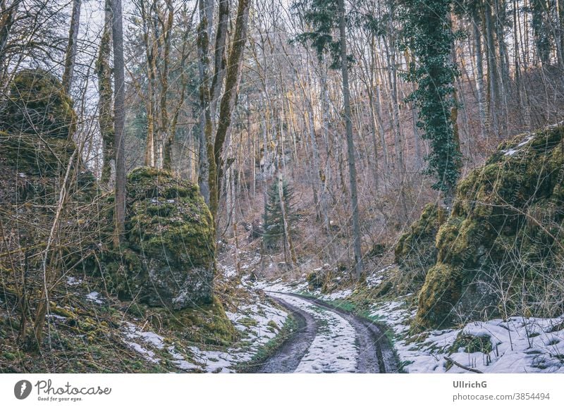 Waldweg mit Schneeresten im Frühling. Weg unbefestigter Weg Hohlweg Fahrspur Landschaft Natur Baum Wälder verschneite restliche Überreste Saison Winter