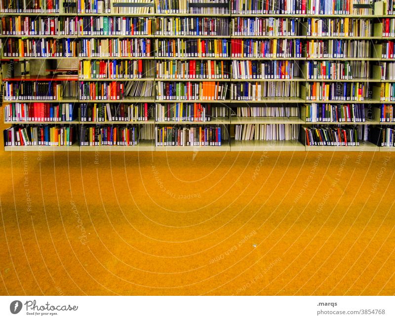 Bibliothek Bildung Studium Buch Erwachsenenbildung viele Ordnung Regal lernen Printmedien mehrfarbig fachbuch gelb Bodenbelag Literatur Universität
