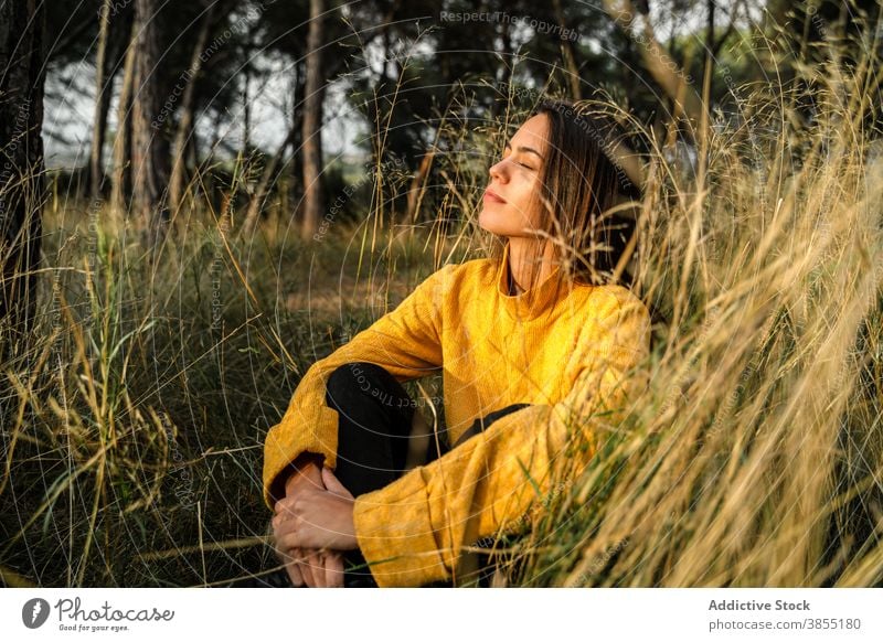 Friedliche Frau genießt die Sonne in der Natur verträumt genießen Sonnenuntergang Knie umarmend Landschaft Feld sorgenfrei Wachtraum sich[Akk] entspannen