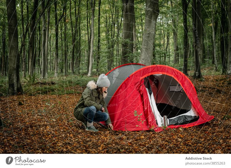 Frau packt Zelt im Wald im Herbst Rudel Lager Reisender Campingplatz Abenteuer Fernweh Wälder fallen Natur Feiertag Entdecker Ausflug Tourismus erkunden Tourist