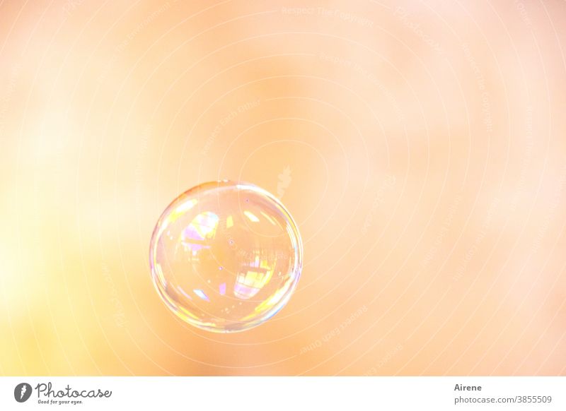 Traum - Wunsch - Hoffnung... Seifenblase Luftblase fliegen schillernd leicht glänzend Leichtigkeit Farbe zerbrechlich rund Kugel Blase ästhetisch
