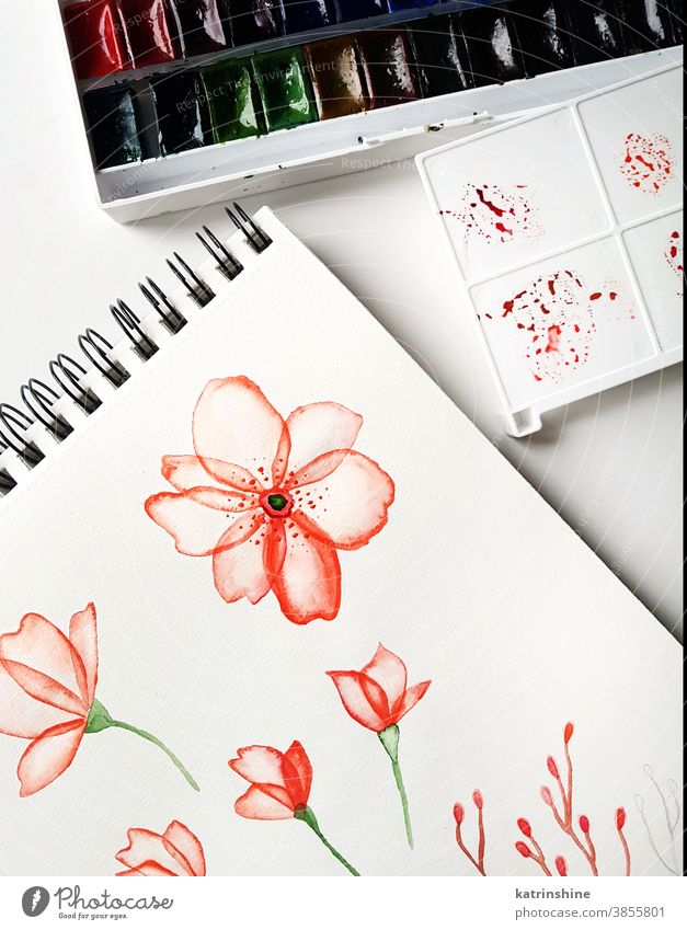 Zeichnungen, Paletten- und Aquarellfarben Farbe Blume Draufsicht rot hell Arbeitsplatz Künstler künstlerisch Papier Hand Kreativität Tisch Kunst Bildung