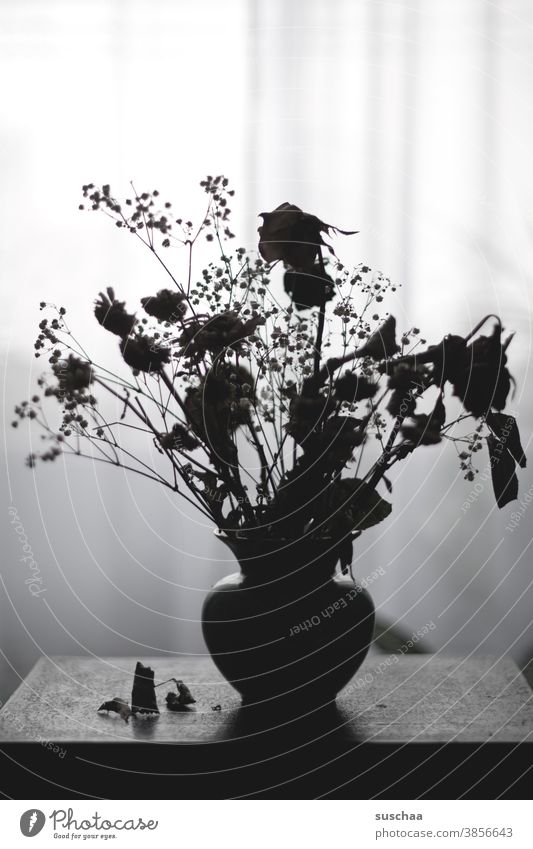 trockenblumenstrauß in vase Trockenblumen Blumenstrauß Vase vertrocknet Stillleben Grautöne schwarz/weiss Tisch Vorhang Silhouette Licht Schatten Innenaufnahme