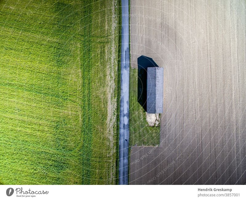 landwirtschaftliche Hütte aus der Luft fotografiert Mais Boden Landwirt Licht grasbewachsen Linie Ernte Landwirtschaft grün Erntemaschine Ackerland im Freien
