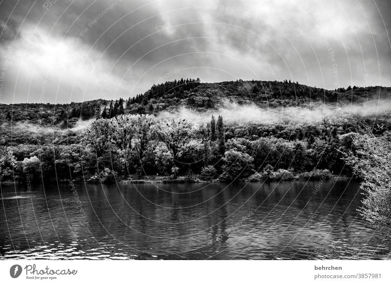 stille Weinberg Jahreszeiten herbstlich Herbst Regen Hunsrück Ruhe Moseltal Mosel (Weinbaugebiet) Flussufer Rheinland-Pfalz Idylle Ausflug Außenaufnahme