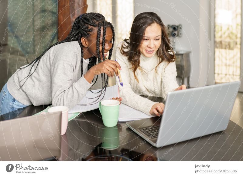 Zwei College-Mädchen studieren gemeinsam zu Hause mit Laptops beim Kaffeetrinken Schüler Frauen multiethnisch heimwärts Computer Hochschule studierend