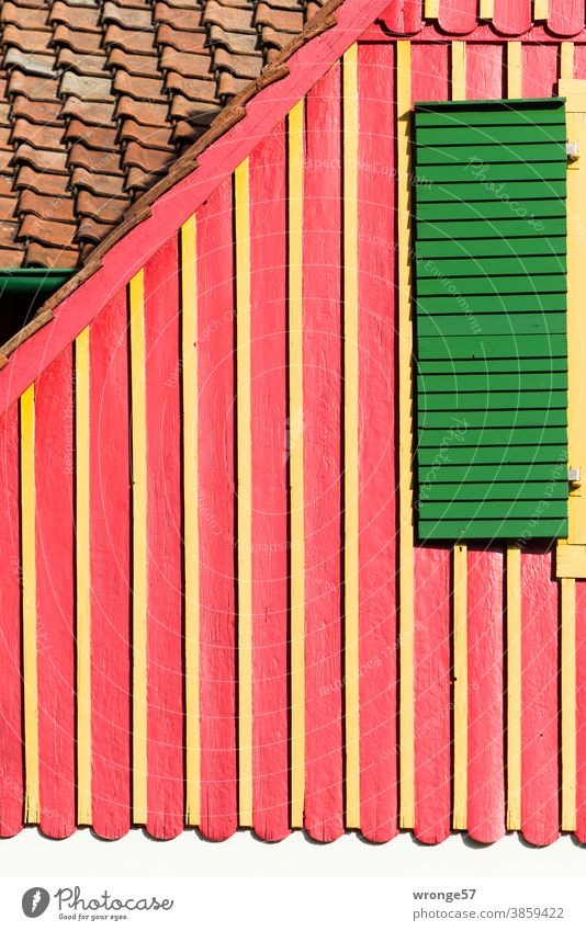 Farbkombinationen | schmuckes Harzer Häuschen Thementag bunt mehrfarbig Farbfoto Menschenleer Außenaufnahme Nahaufnahme Tag Haus Hausgiebel Fensterladen