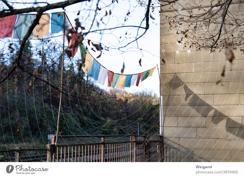 Gebetsfahnen im Garten Gebetsflaggen Haus kleinbürgerlich bunt Multikulti Verschiedenheit