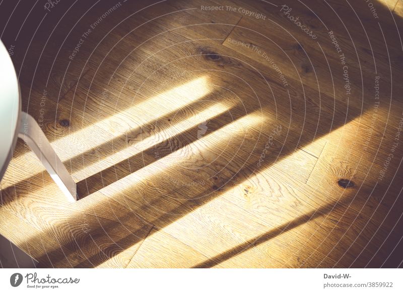 Schatten und Lich auf Holzboden Licht Parkettboden Sonne wärme Sonnenstrahlen Tisch wohnen leuchten Muster Sonnenlicht Strukturen & Formen