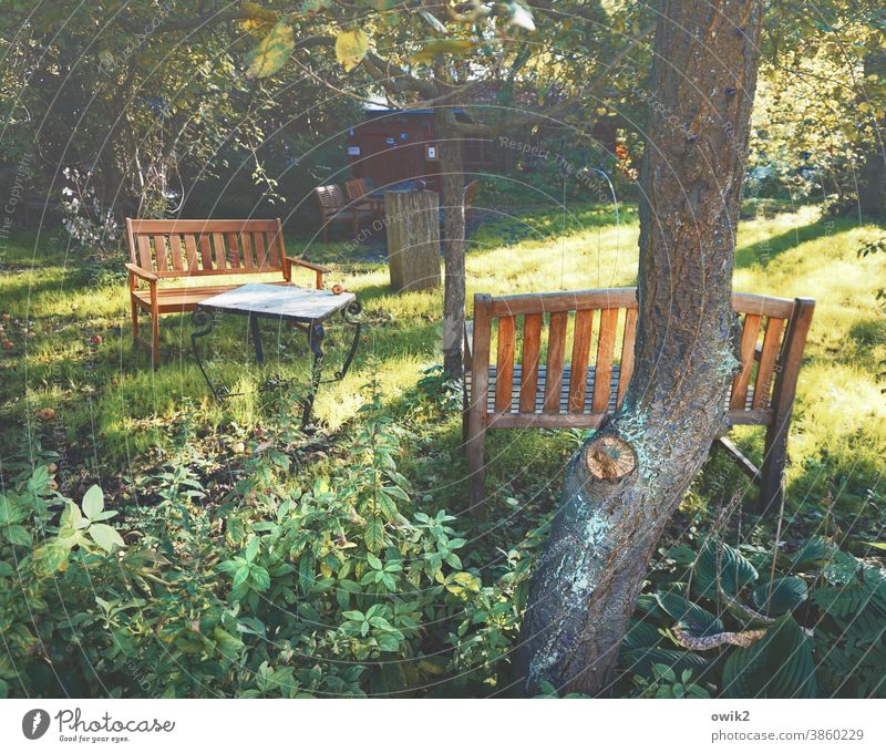 Künstlerkolonie Garten Bänke Idylle Baum Gras Wiese Tisch Gartentisch friedlich Sonnenlicht Herbst Sträucher Baumstamm knorrig Außenaufnahme Farbfoto
