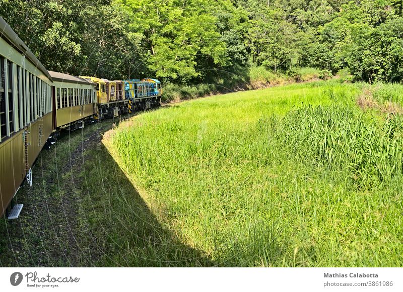 Die Panoramabahn Kuranda windet sich die Gleise hoch Tourismus Verkehr Transport Wald Australien Schiene Zug Eisenbahn Cairns alt Natur Kuranda-Szenenbahn