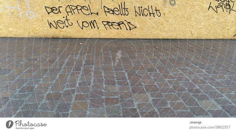 Weisheit Wand Graffiti Schriftzeichen Redewendung Spruch Kopfsteinpflaster skurril lustig anders Denken streetart