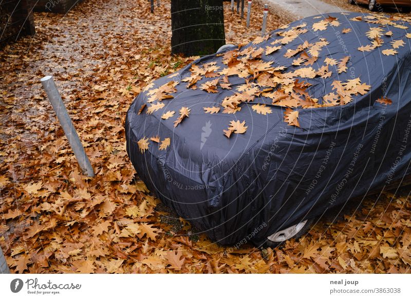 Auto unter Abdeckplane, bedeckt mit Herbstlaub Jahreszeit Laub Blätter Parken Ruhe Schlafen PKW Hülle Versteck Tarnung dunkel Schwarz Braun Warten