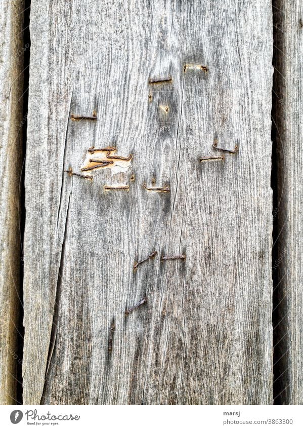 Alt, platt und ausgedient. Rostige Heftklammern an verwittertem Holzbrett festgemacht einfach alt sinnlos nutzlos Riss Holzstruktur Gedeckte Farben Patina