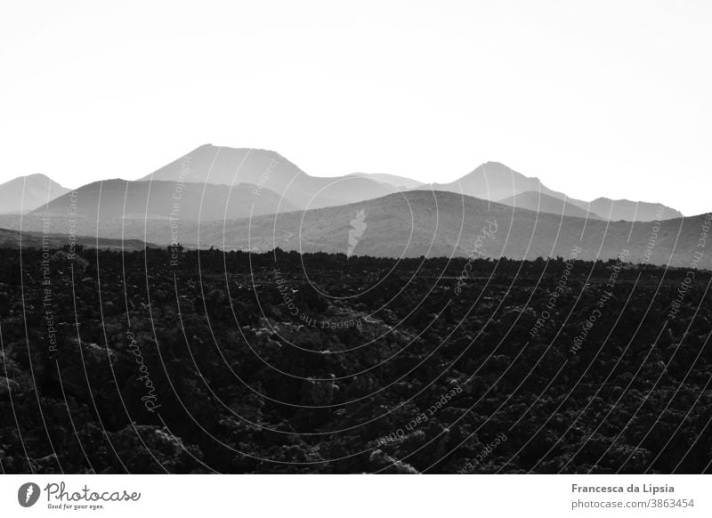 Lavafeld auf Lanzarote Vulkan Landschaft Schwarzweißfoto Außenaufnahme Ferien & Urlaub & Reisen Menschenleer Insel Berge u. Gebirge Natur Ferne