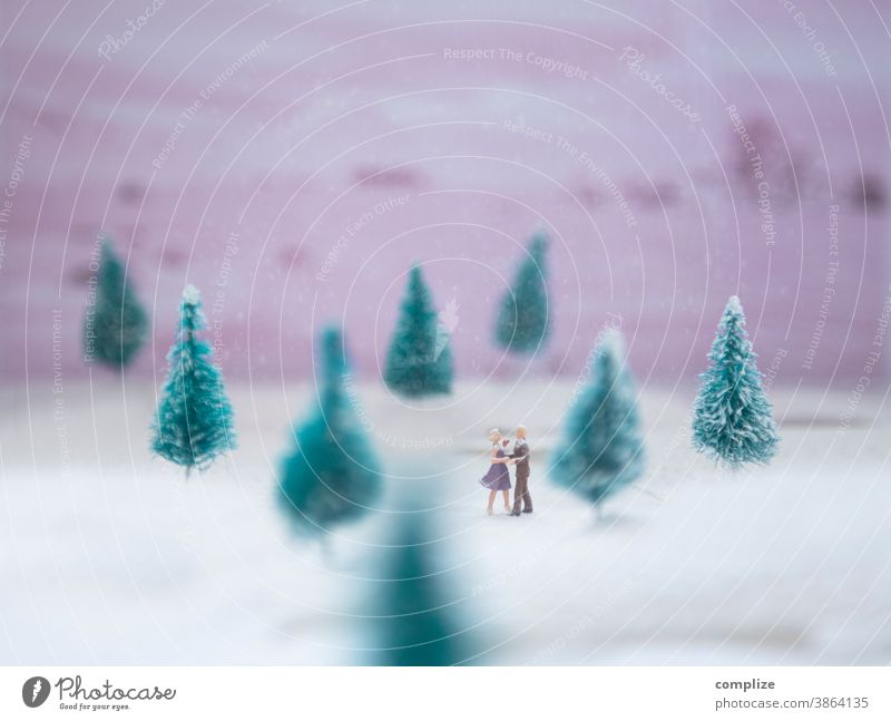 Tanz im Schnee Puderzucker Zucker Tanzen Eistanz Wald Winter Winterurlaub Tanne Weihnachtsbaum Dekoration & Verzierung klein Miniatur Figuren Sieb Sieben