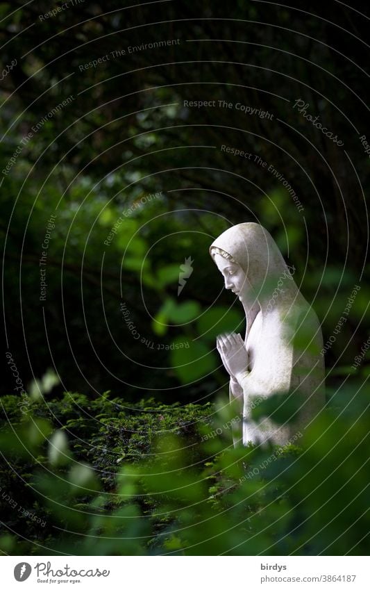 Betende Maria. Marien-Statue umgeben von Pflanzen auf einem Friedhof Christentum betend Tod Religion & Glaube Gebet Trauer Grünpflanzen katholisch biblisch