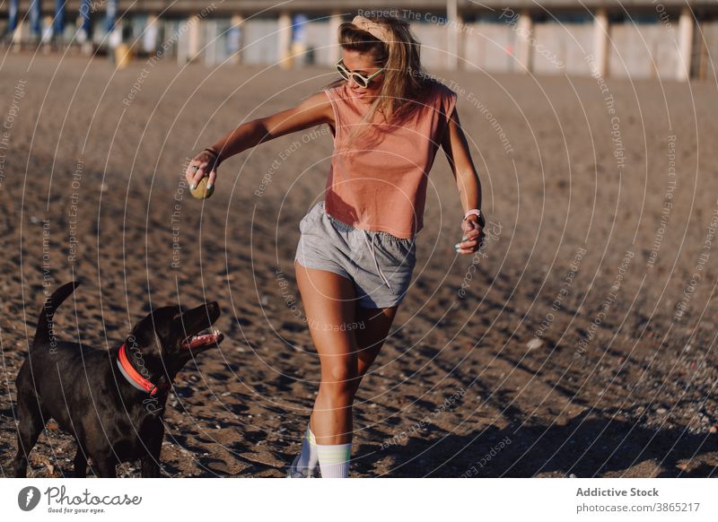 Frau spielt mit Hund am Strand spielen laufen Sommer spielerisch Spiel labrador retriever Besitzer Ball Spielzeug Eckzahn Sand Aktivität aktiv Energie dynamisch