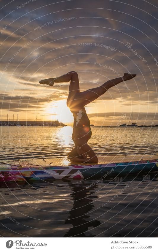 Frau macht Kopfstand auf Paddle Board bei Sonnenuntergang Yoga Paddel Holzplatte Salamba sirsasana MEER Pose Asana Wasser Schwimmer Paddelbrett schlank