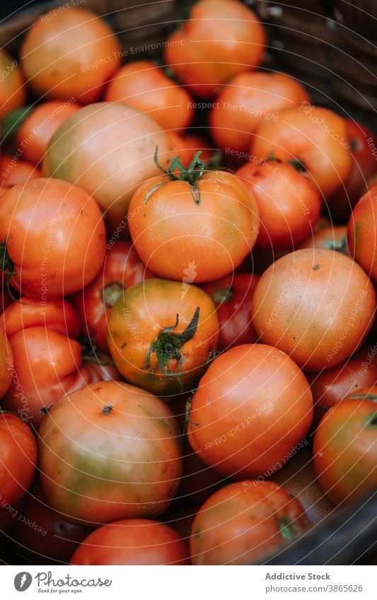 Korb mit roten Bio-Tomaten Gemüse frisch natürlich organisch Lebensmittel Markt Ernte Biografie Haufen Vegetarier Bestandteil Veganer Gesundheit reif
