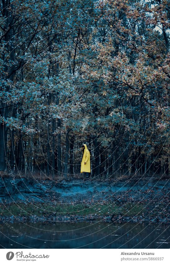 Typ in gelber Jacke im Wald in der Nähe eines Sees Spaziergang Stimmung dunkel