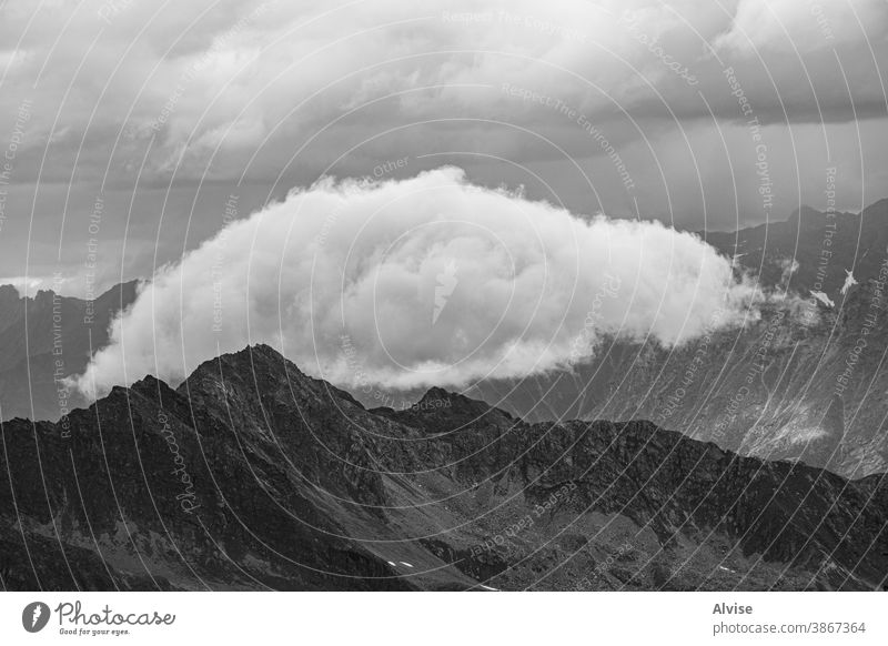 Wolke und Gipfel Wolkenlandschaft landschaftlich gestaltet ruhig im Freien Europa idyllisch Tal Österreich Berglandschaft Nebel Himmel (Jenseits) Tierwelt