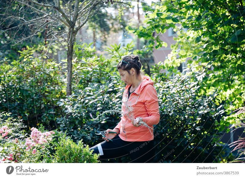 Frau im lachsfarbenen Hoodie schneidet Rosen im Garten schneiden Gartenschere rosa Gartenarbeit Pflanze schön Blume Natur Blühend natürlich grün