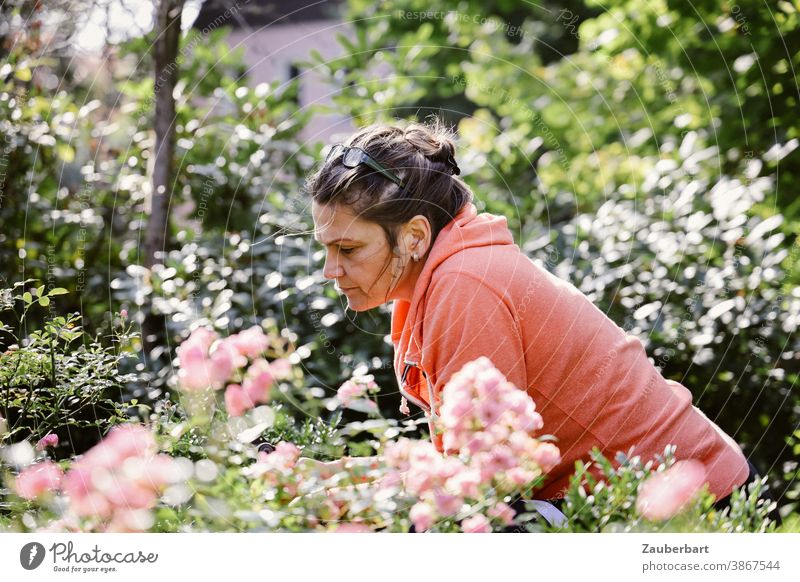 Frau im lachsfarbenen Hoodie schneidet Rosen im Garten schneiden rosa Gartenarbeit Pflanze schön Blume Natur Blühend natürlich
