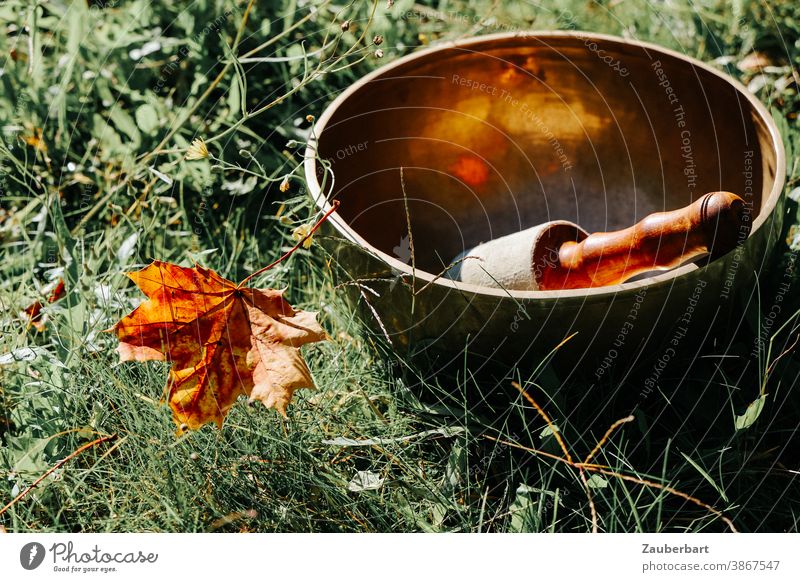 Klangschale mit Klöppel und Herbstblatt im Gras Blatt Sonne Meditation Wellness Entspannung Schalen & Schüsseln Zufriedenheit ruhig harmonisch Erholung