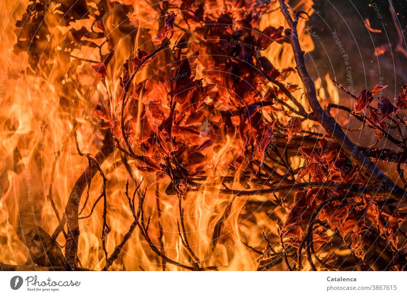 Es brennt lichterloh Feuerstelle Scheiterhaufen Schwarz Orange heiß Zweig Blätter Asche Urelement Funken brennen hochschlagen Flammen